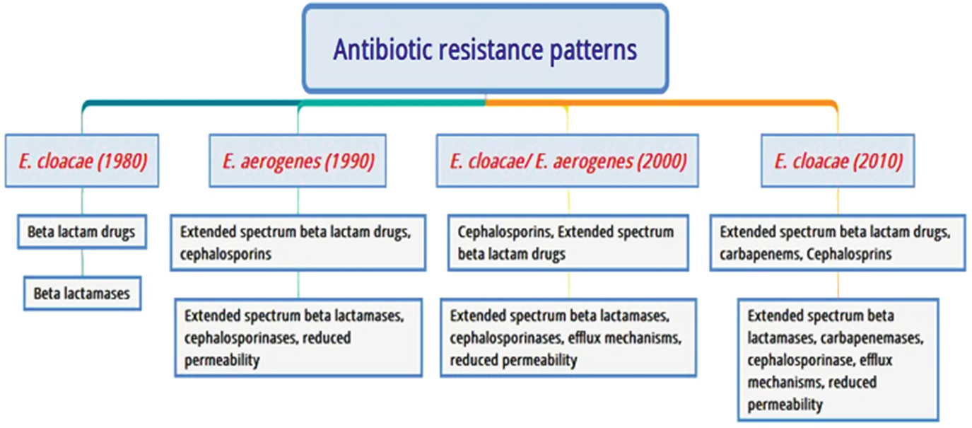 Enterobacter Infections And Antimicrobial Drug Resistance Springerlink Enterobacter Infections And Antimicrobial Drug Resistance Springerlink