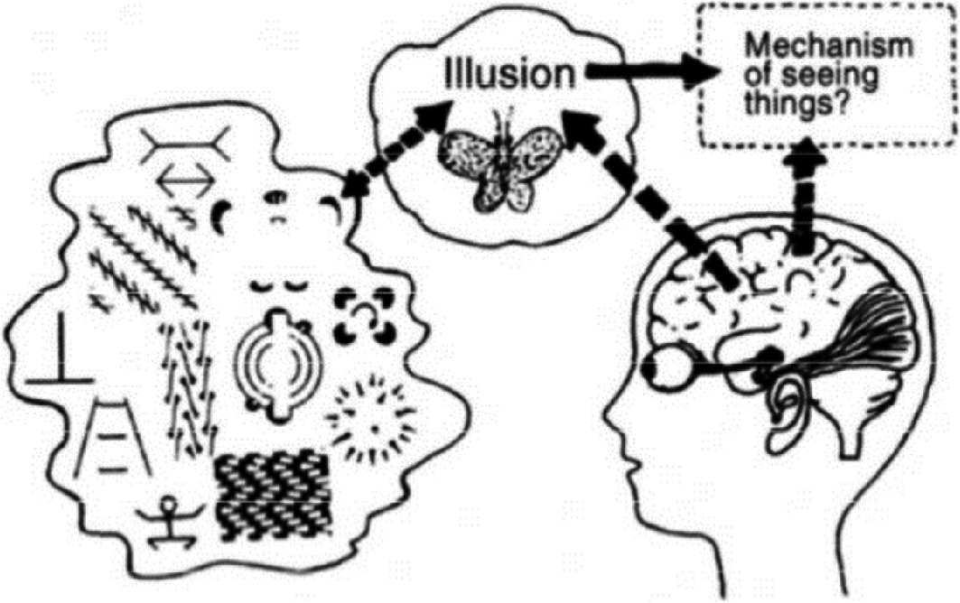 The user illusion ebook reader The user illusion ebook reader