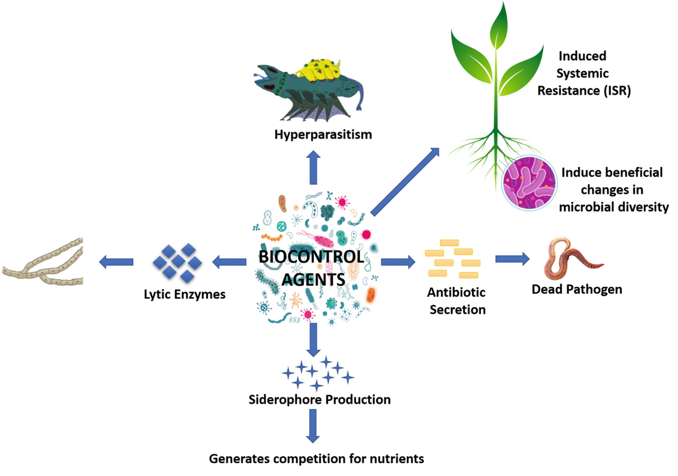 import of biocontrol agents import of biocontrol agents