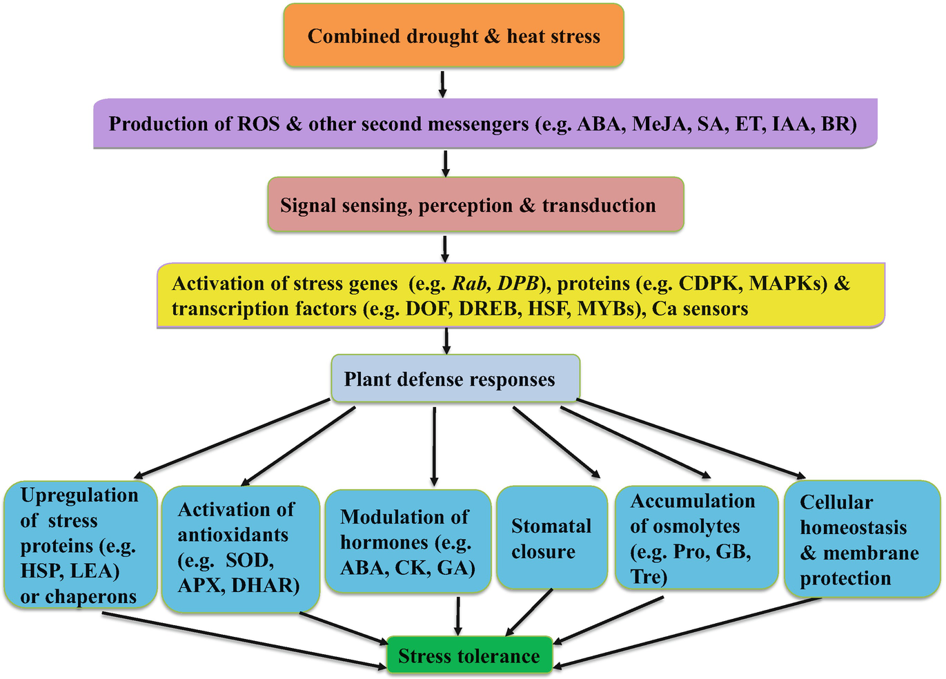 The Effect Of Exposure To A Combination Of Stressors On Rice Productivity And Grain Yields Springerlink