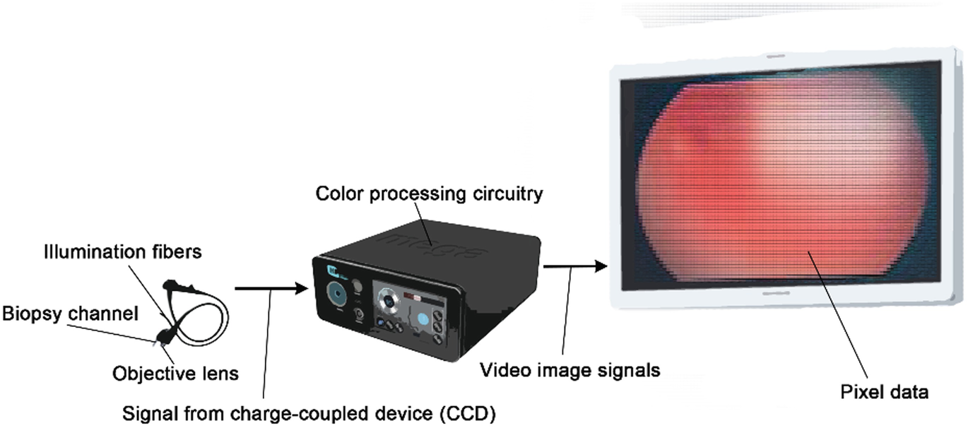 Tumor Therapeutic Modes Springerlink