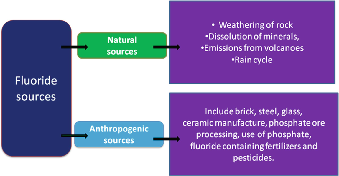 Fluoride Remediation Using Membrane Processes | SpringerLink