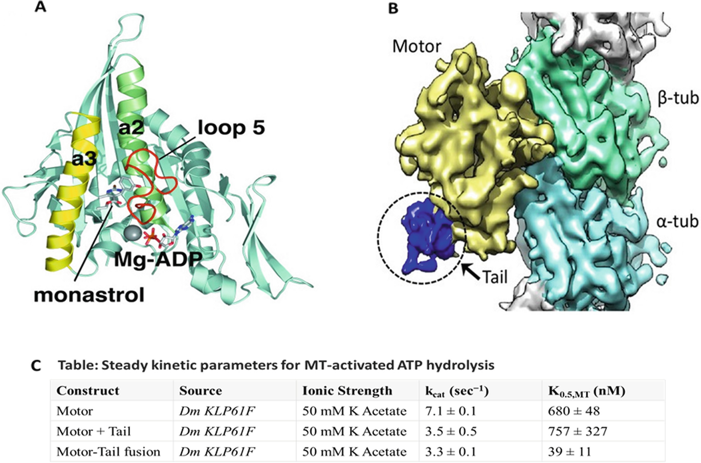 Molecular Motors Subdomain Dynamics And Mechanochemistry Springerlink Molecular Motors Subdomain Dynamics And Mechanochemistry Springerlink
