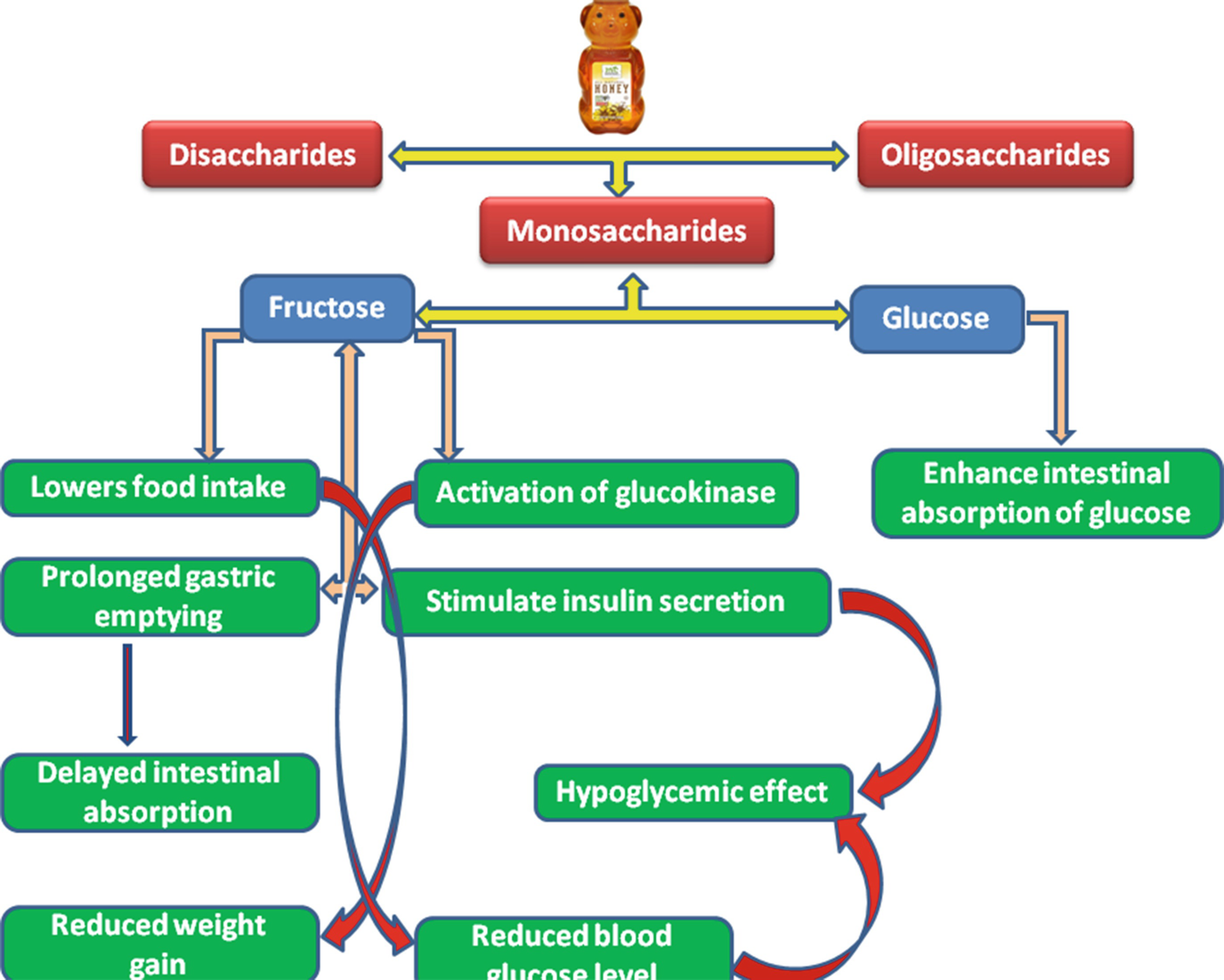 Sourwood honey and cancer