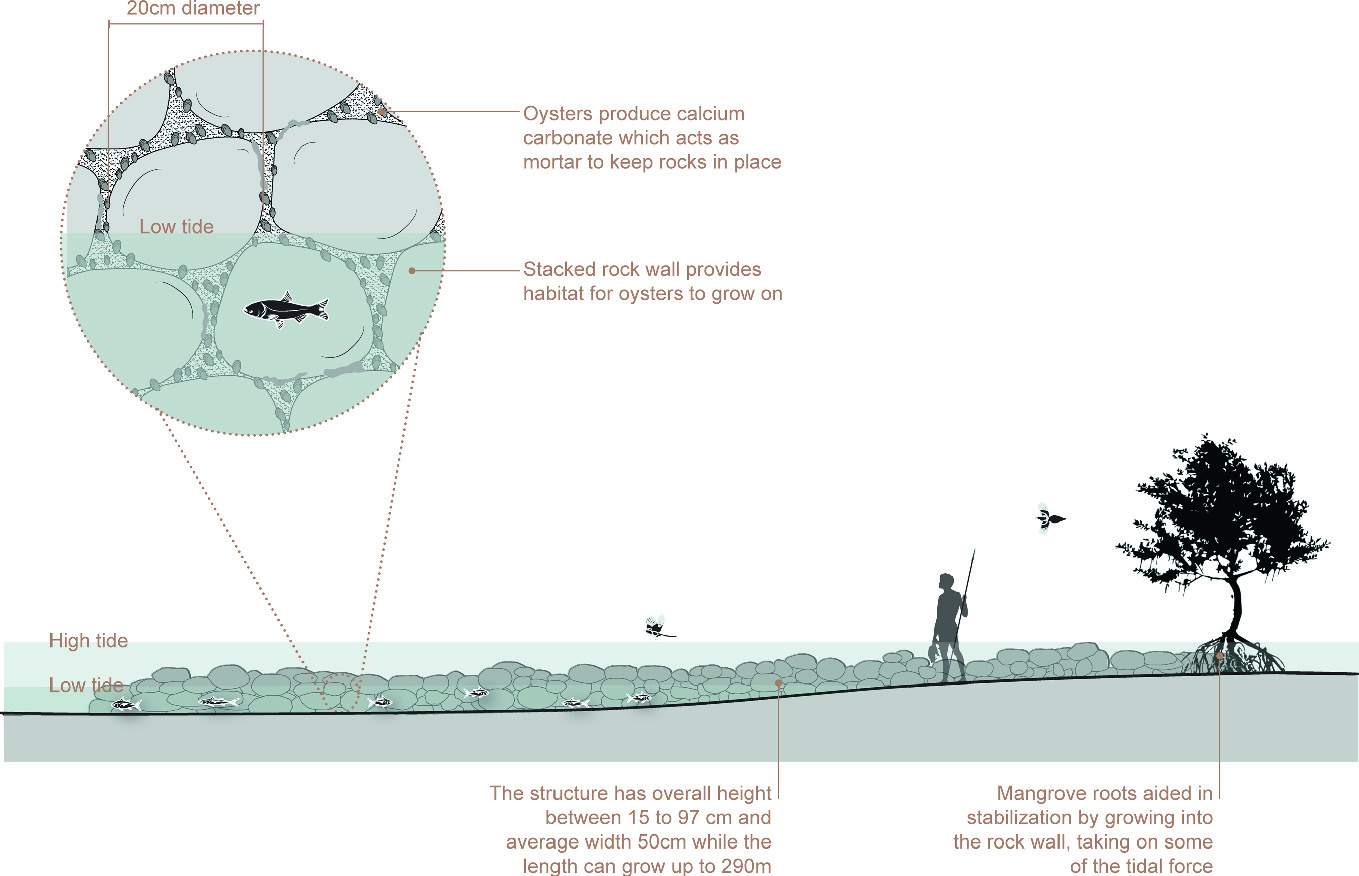 Lo Tek Underwater And Intertidal Nature Based Technologies Springerlink Lo Tek Underwater And Intertidal Nature Based Technologies Springerlink