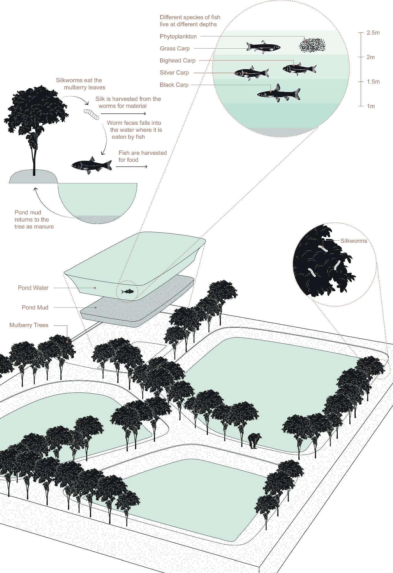 Lo Tek Underwater And Intertidal Nature Based Technologies Springerlink
