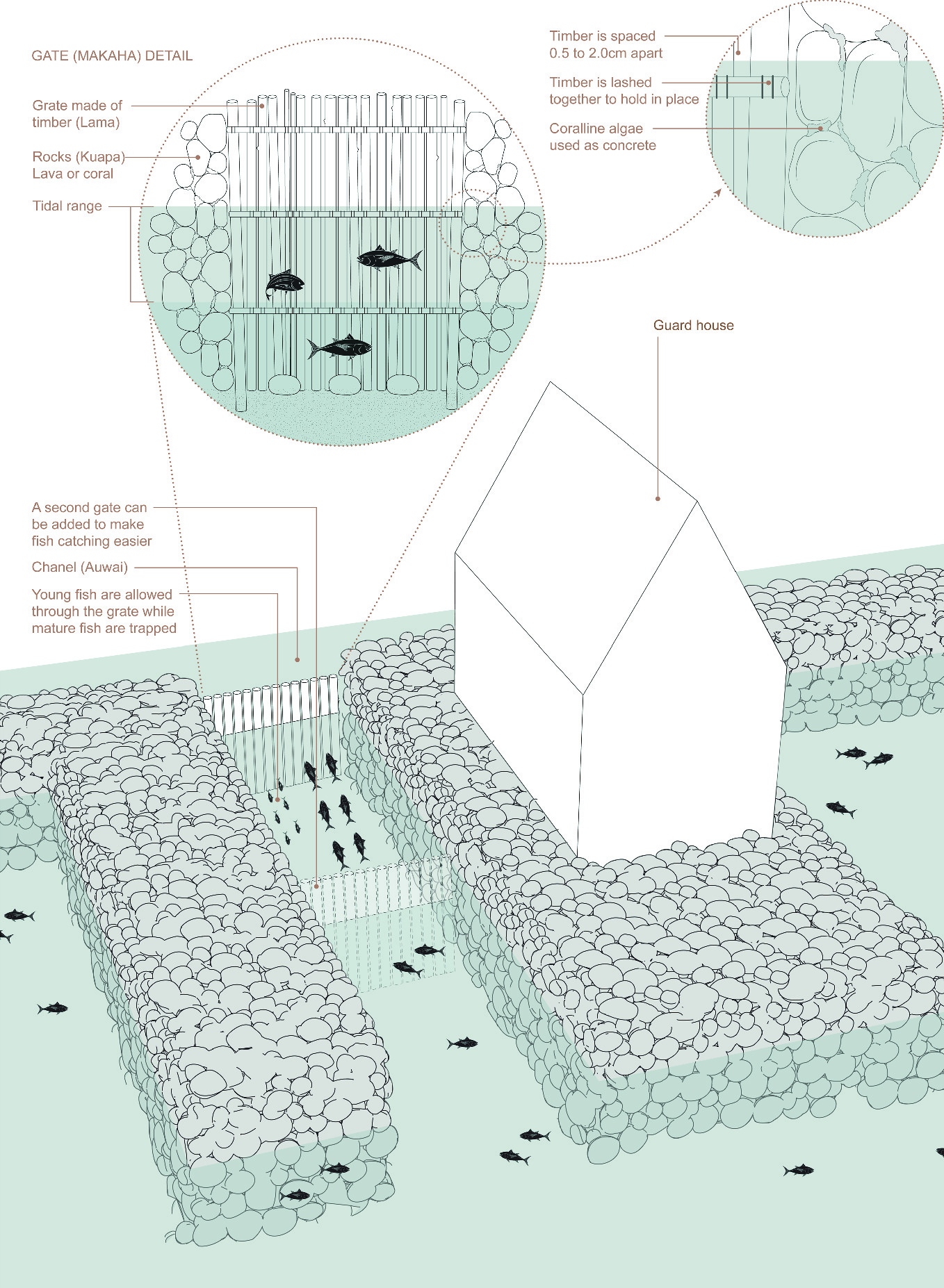 Lo Tek Underwater And Intertidal Nature Based Technologies Springerlink