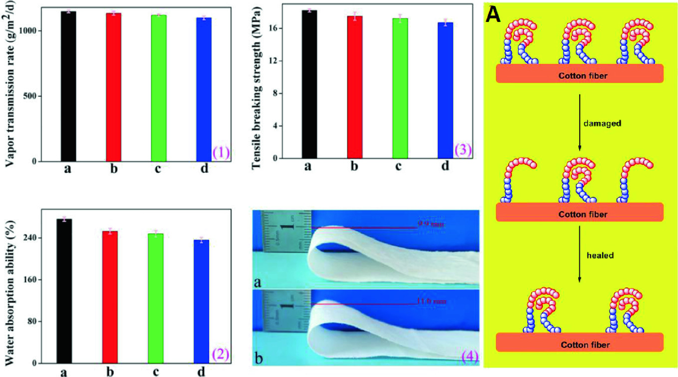 Advanced Physical Applications Of Modified Cotton Springerlink