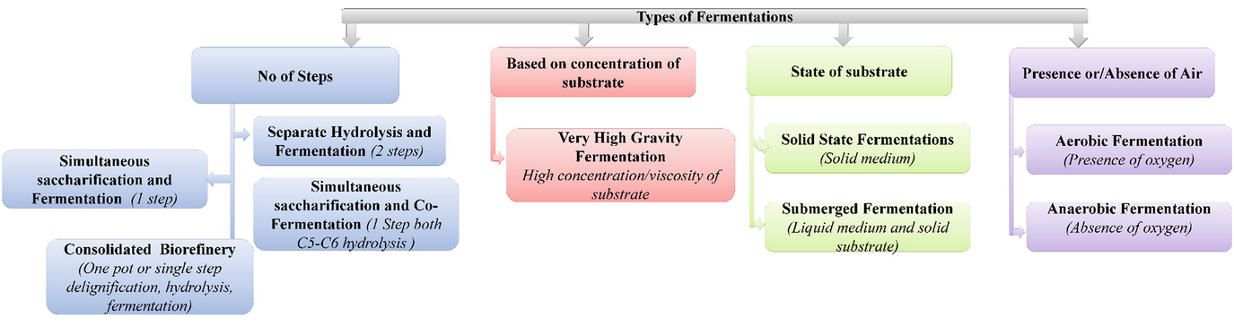 Techno Economic Assessment Of Biomass Based Integrated Biorefinery For Energy And Value Added Product Springerlink