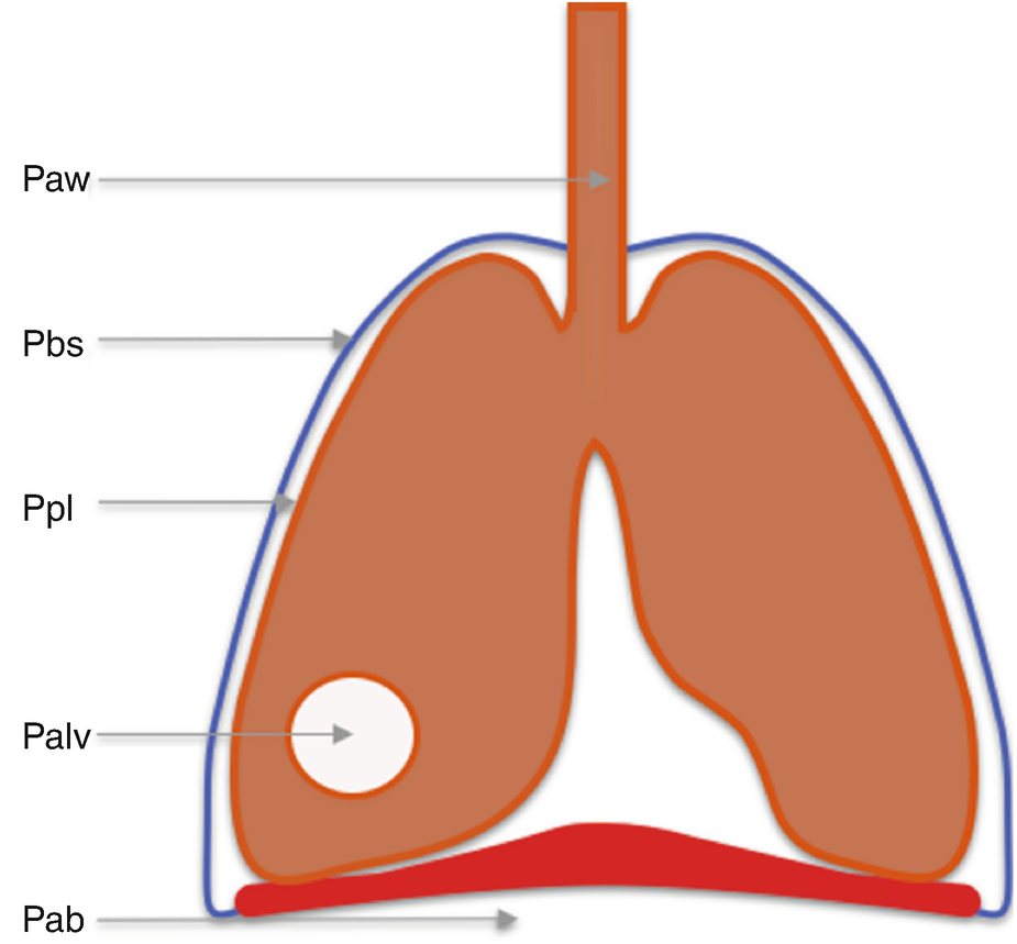 Respiratory Mechanics Springerlink