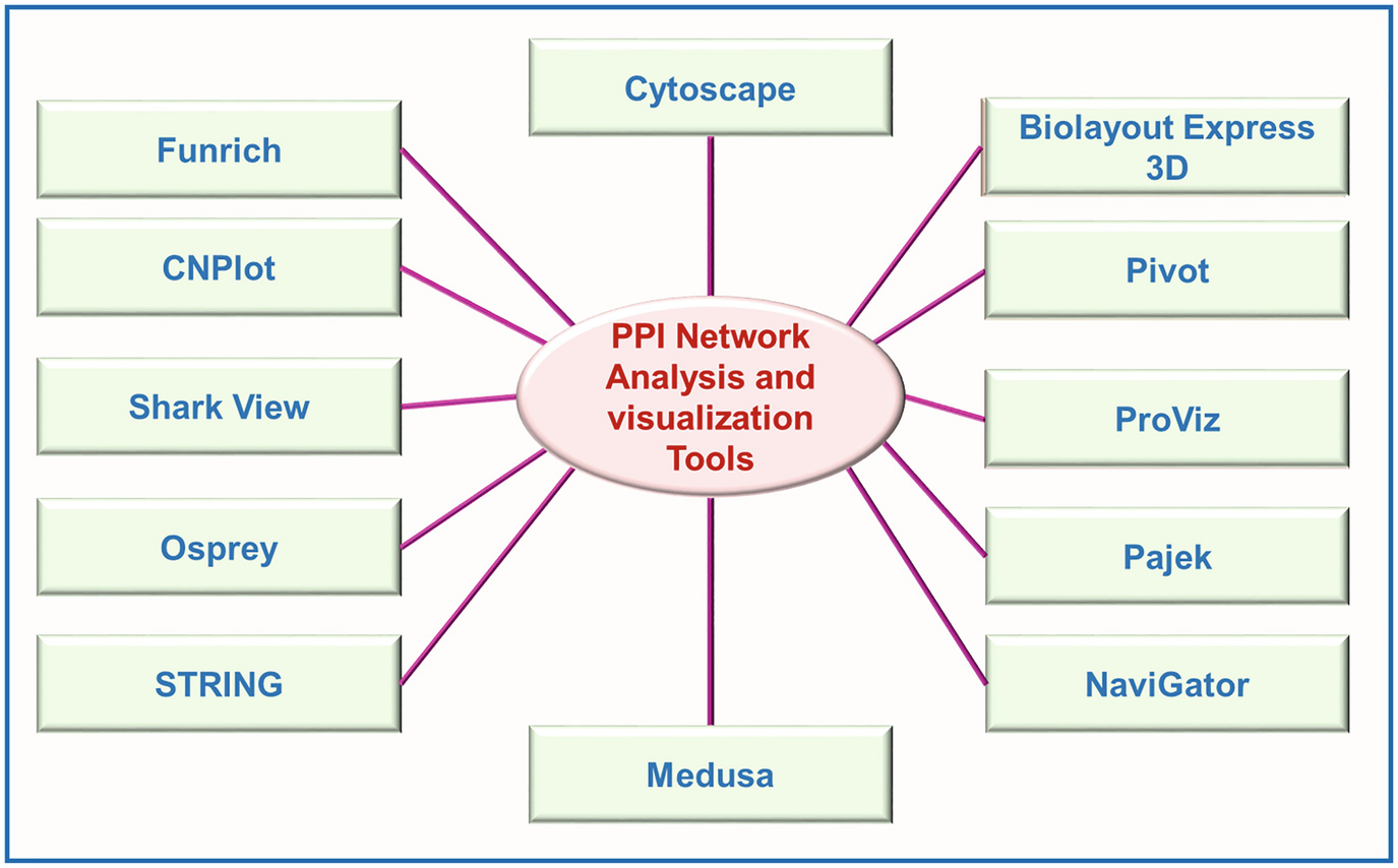 Prediction Analysis Visualization And Storage Of Protein Protein Interactions Using Computational Approaches Springerlink