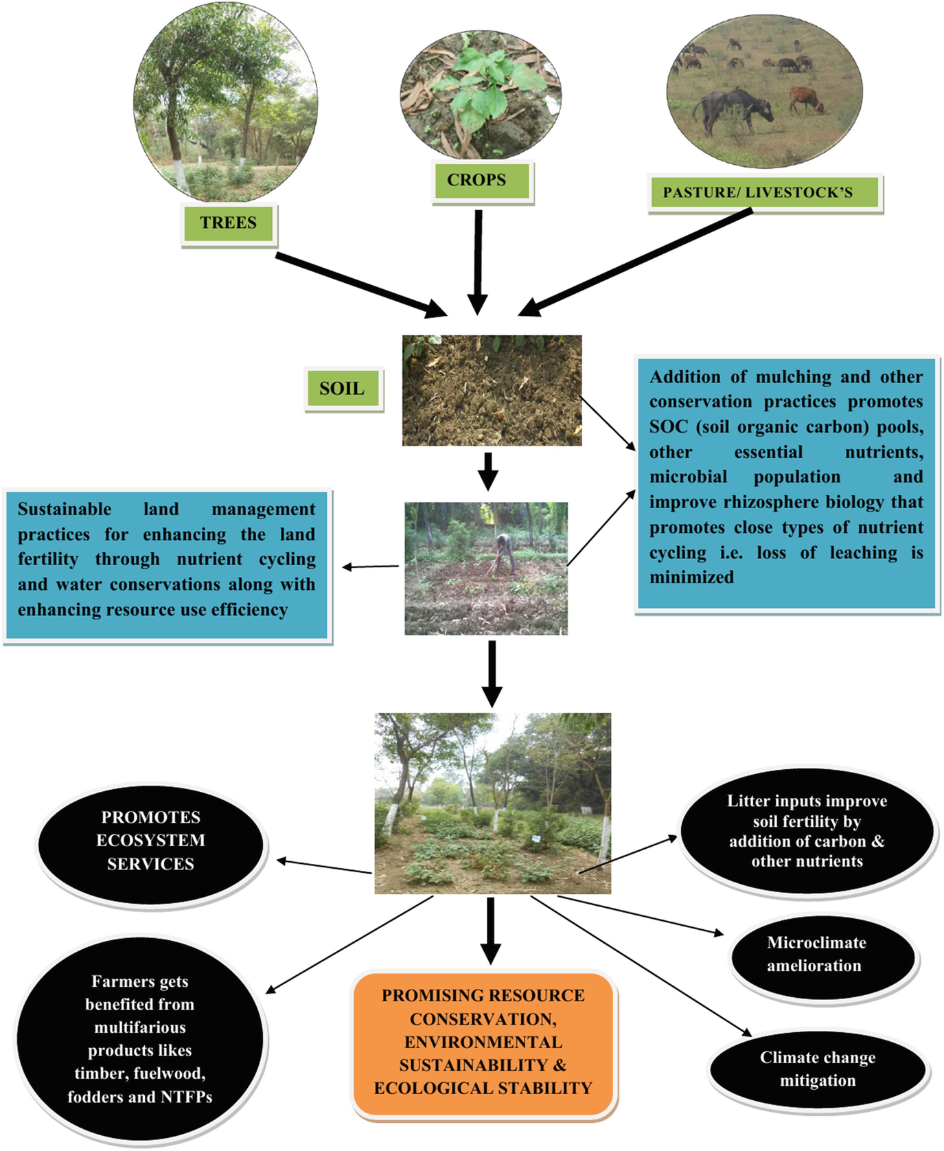 Resource Conservation For Sustainable Development Springerlink