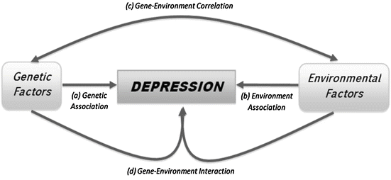 Gene Environment Interaction >> Gene Environment Interactions Stress And Depression Springerlink Gene Environment Interaction >> Gene Environment Interactions Stress And Depression Springerlink