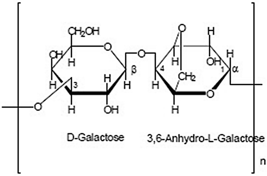 Techniques Used In Fish And Fishery Products Analysis