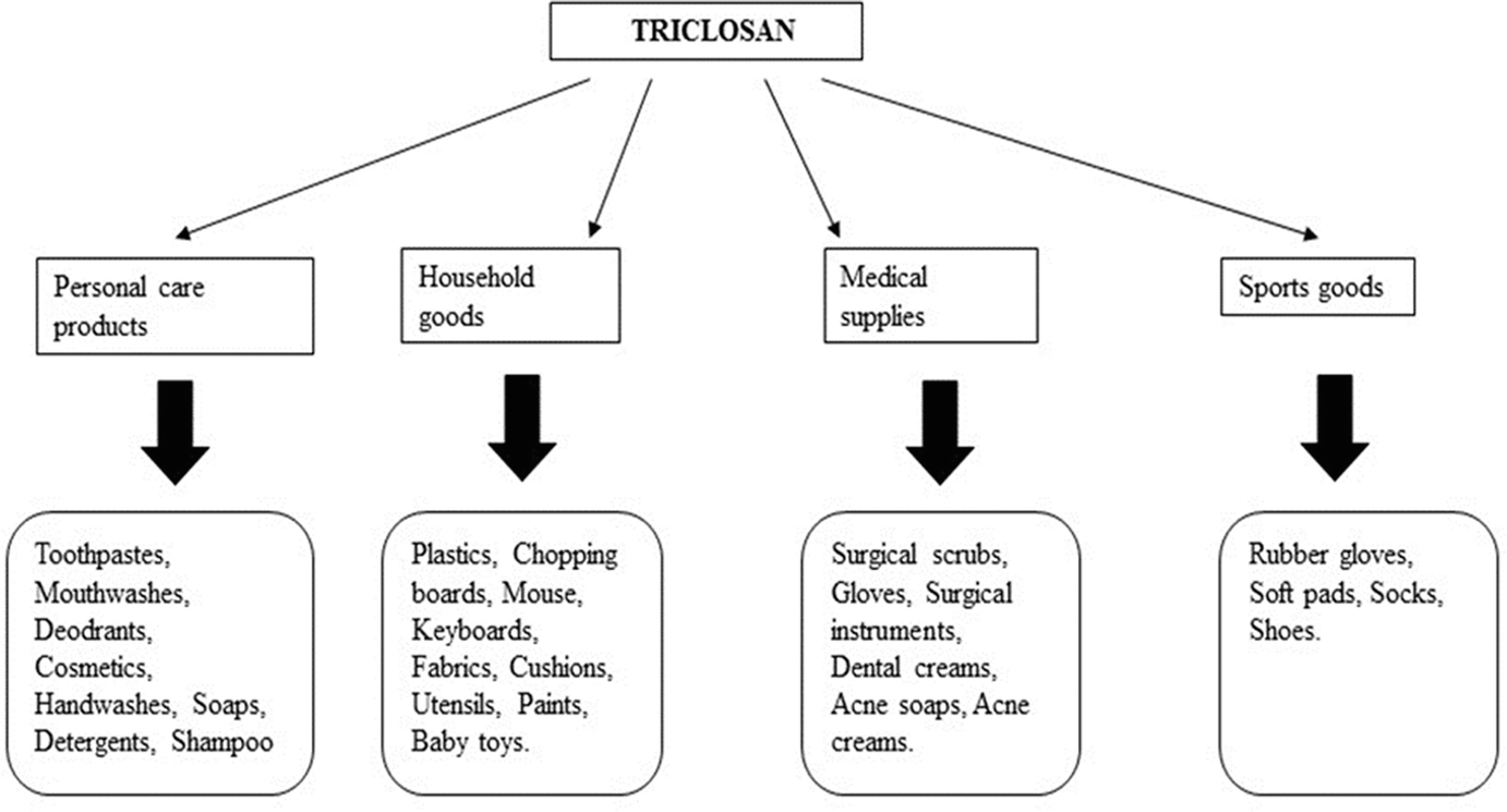 Environmental And Human Exposure To Antimicrobial Agent Triclosan A Review Springerlink