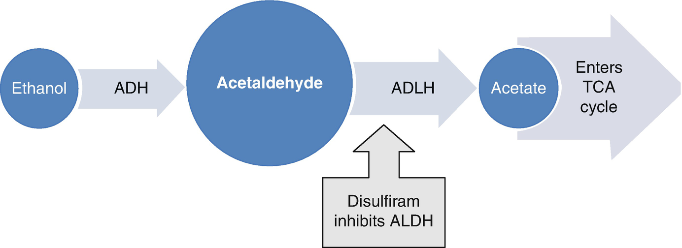 Disulfiram In The Management Of Alcohol Dependence Springerlink