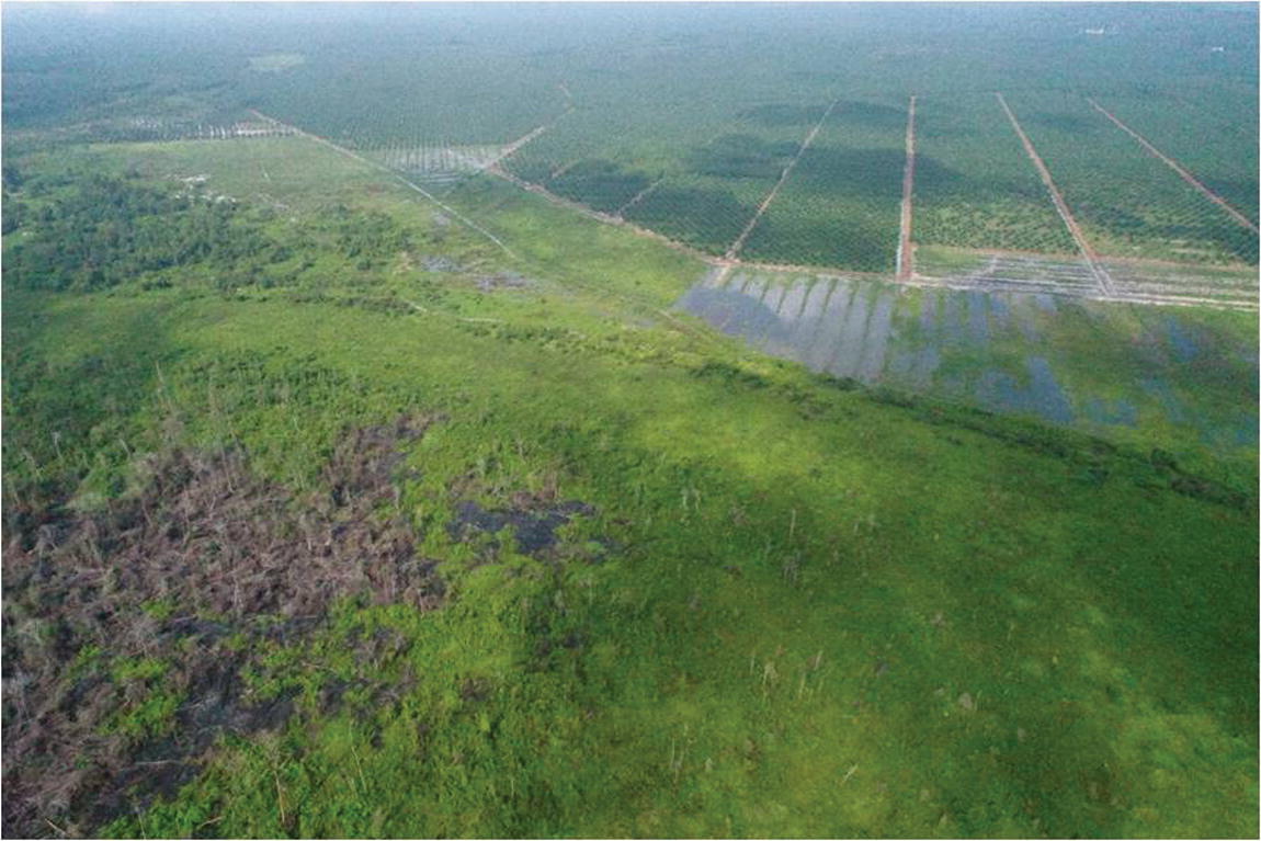 National Strategies on Responsible Management of Tropical Peatland 