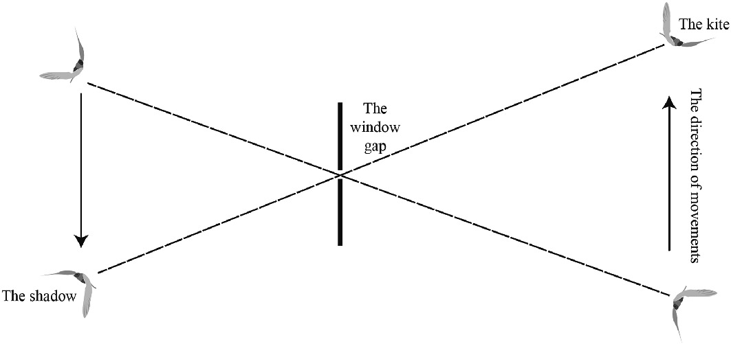 The Prime Stage Of Image Science And Technology Springerlink