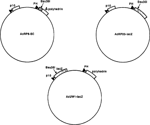 springerlink