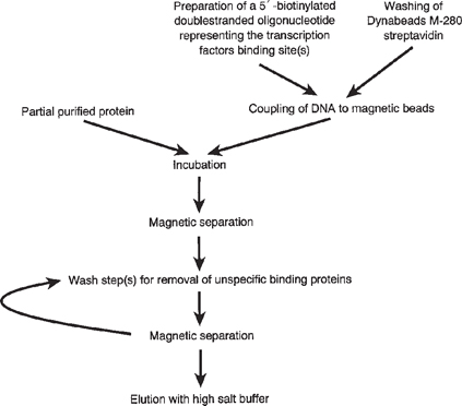 springerlink