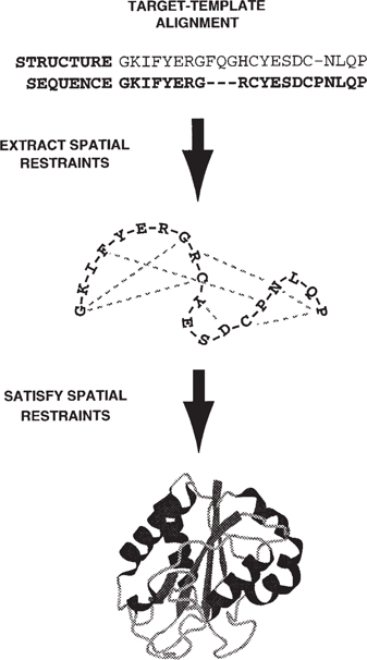 Comparative Protein Structure Modeling: Introduction and Practical ...