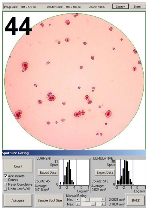 Image Analysis And Data Management Of Elispot Assay Results