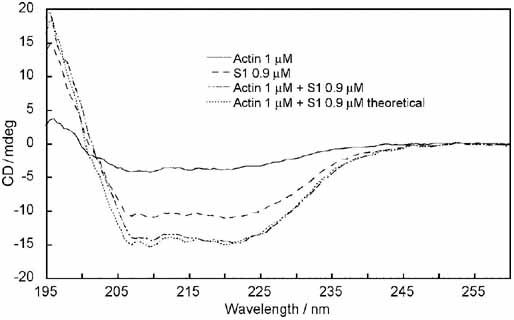 cd spectroscopy