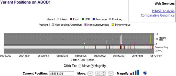 pharmgkb springerlink