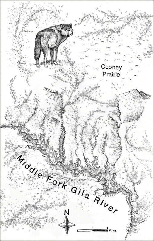 The Ecology Of Fear Springerlink