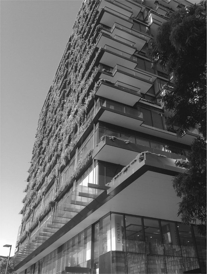 Build Biophilic Urbanism in the City and Its Bioregion | SpringerLink