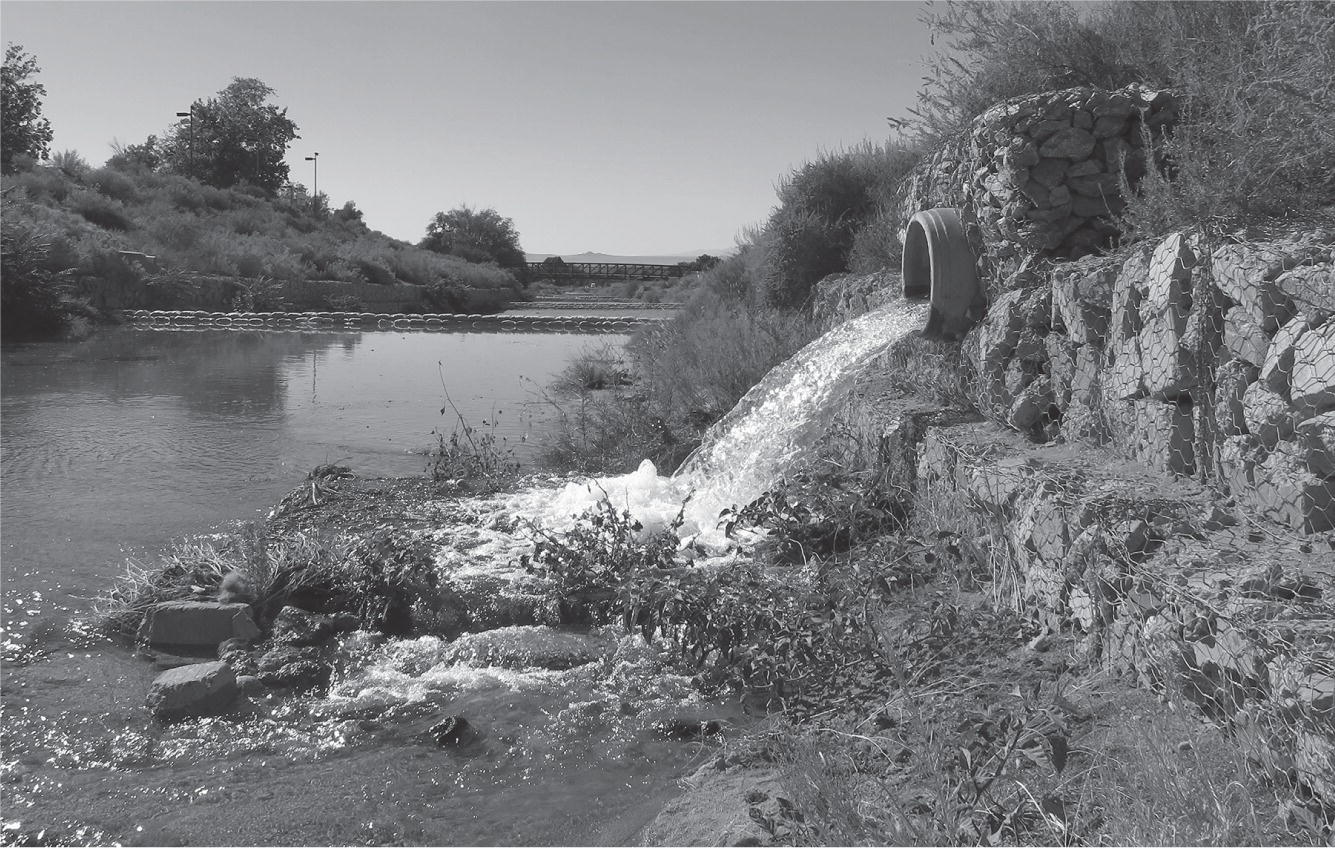 Conserve In The City Springerlink