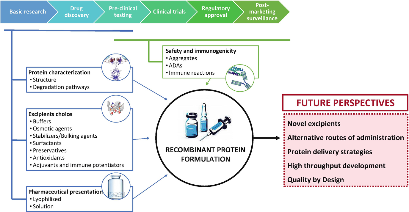 Insights on the Formulation of Proteins SpringerLink