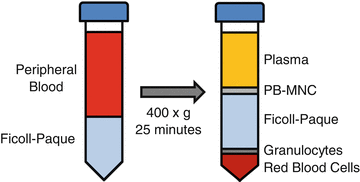 Generation of Patient-Specific induced Pluripotent Stem ...
