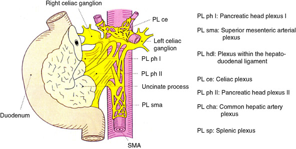 Japanese Pancreas Society Staging Systems for Pancreatic Cancer