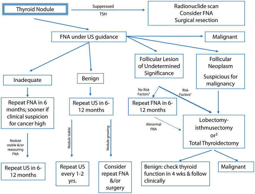Thyroid Nodules in Children and Cancer Risk | SpringerLink