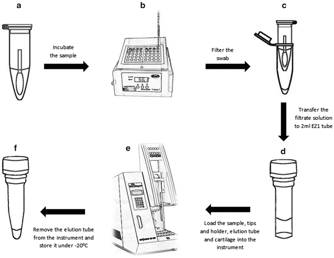 DNA Extraction Organic and SolidPhase SpringerLink