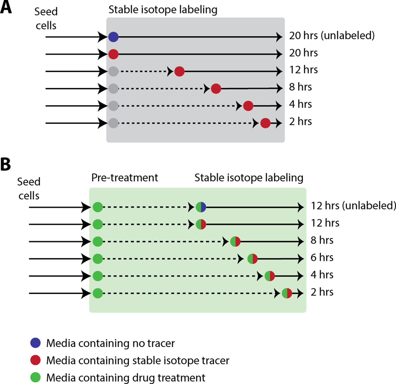 Rcas stevens schedule picture