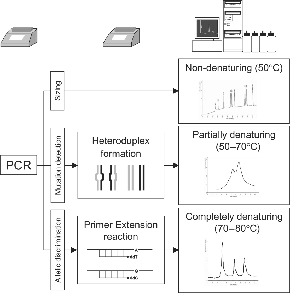 Denaturing HighPerformance Liquid Chromatography (DHPLC) for Nucleic