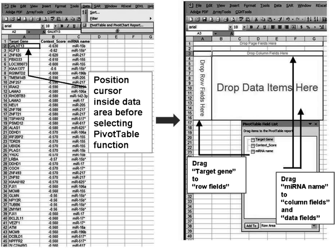 4 table pivot subheading row Functions Analysis and Coregulated by of Targets MicroRNAs