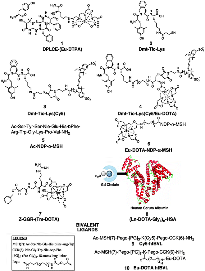 Dota effect essay picture