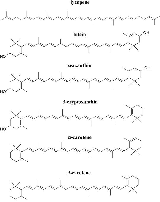 Food Sources of Carotenoids SpringerLink