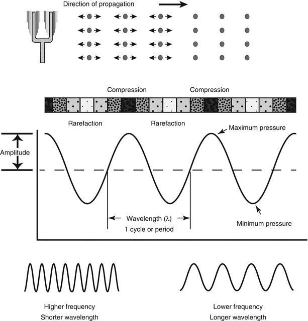 Science of Ultrasound and Echocardiography SpringerLink