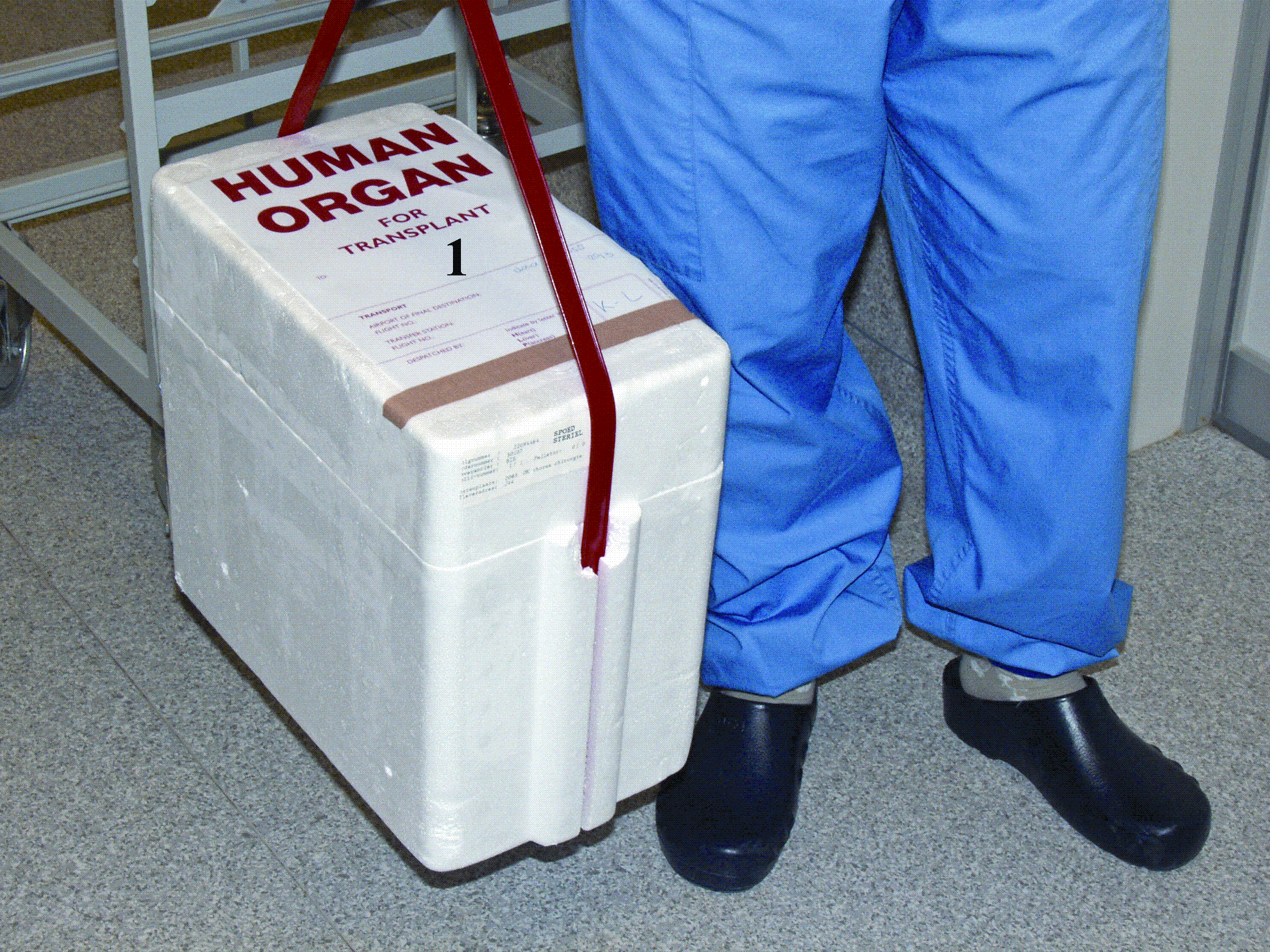 Organ Packing SpringerLink