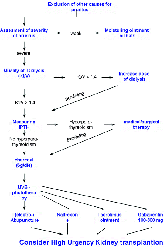 Chronic Kidney DiseaseAssociated Pruritus SpringerLink