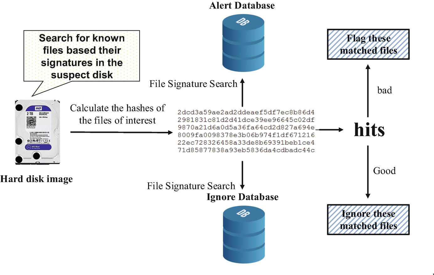 File Signature Searching Forensics SpringerLink