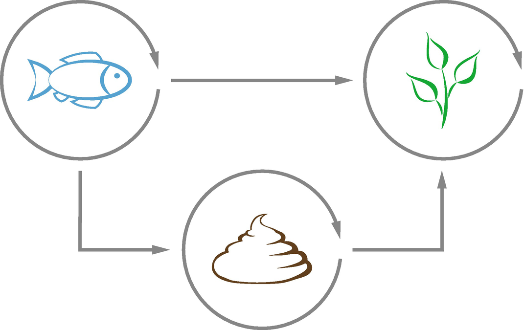 Decoupled aquaponics design 