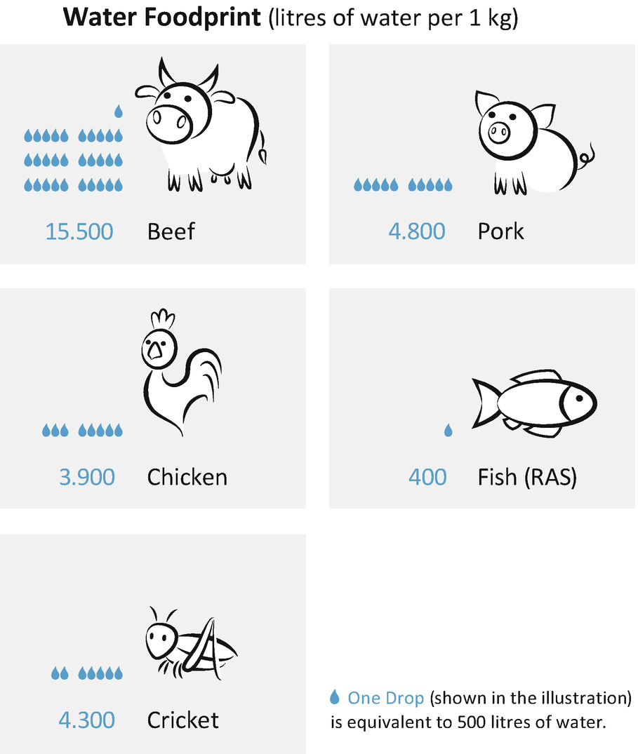 aquaponics: closing the cycle on limited water, land and