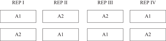The Split-Plot Design | SpringerLink