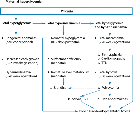 Infants of Diabetic Mothers | SpringerLink