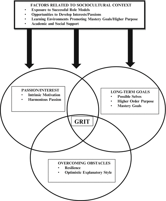 Understanding Grit in the Context of Higher Education SpringerLink
